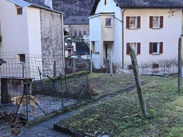 Bild 28