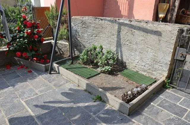 Immagine 7