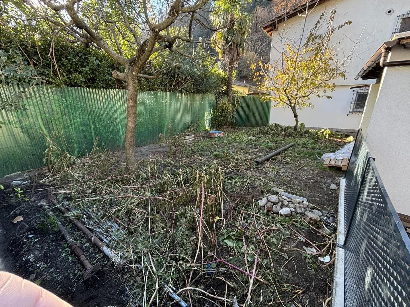 Bild 12