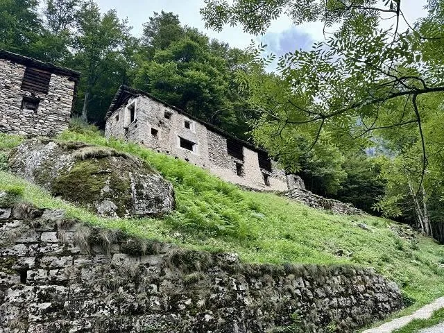 Immagine 15