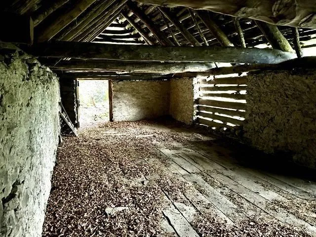 Immagine 3