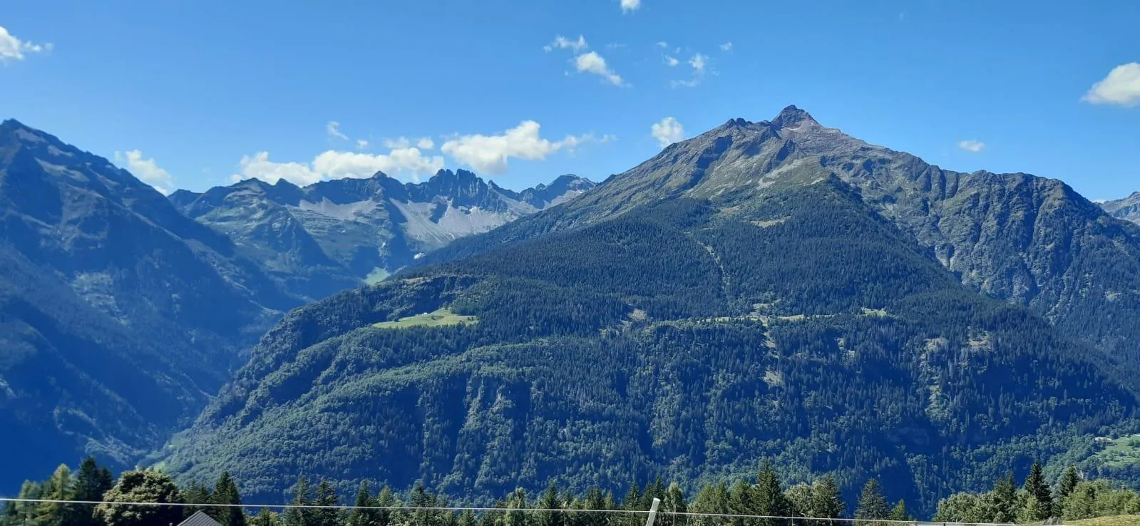 Image 15