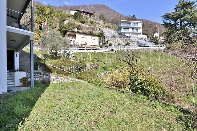 Immagine 25