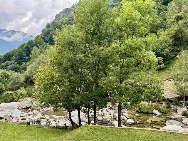 Bild 12