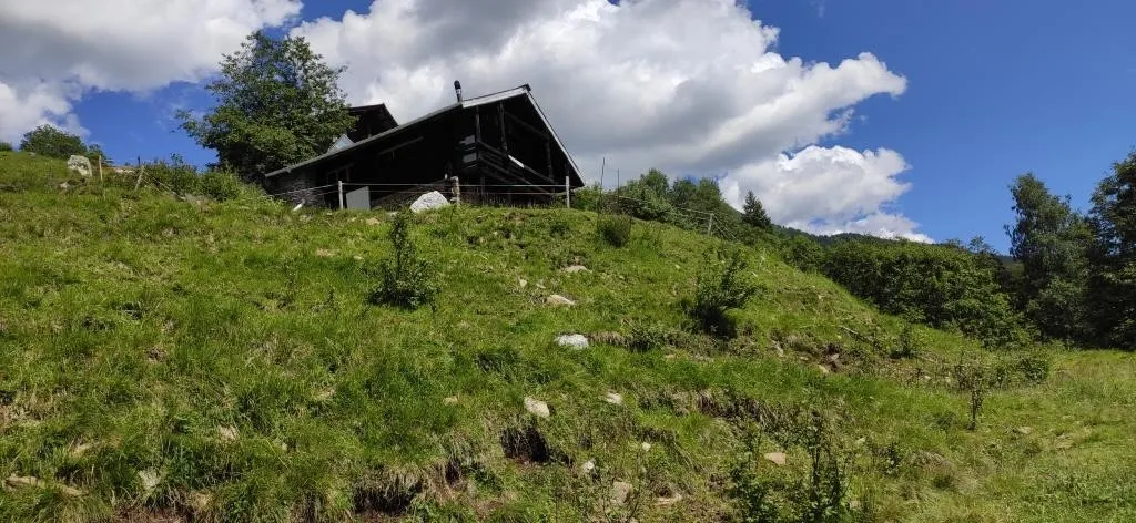Bild 29