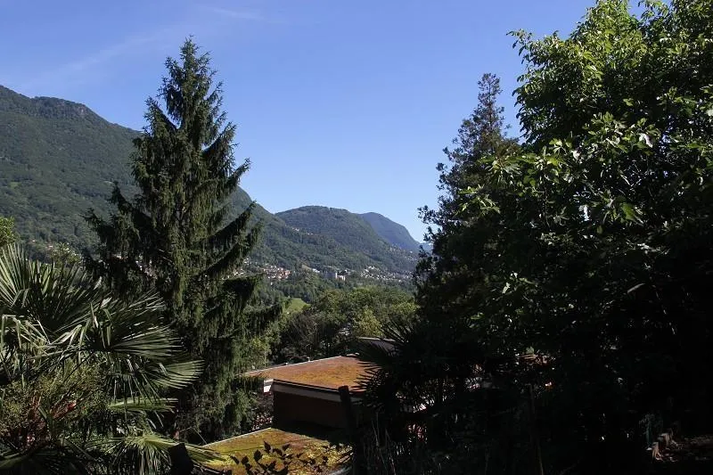 Image 4