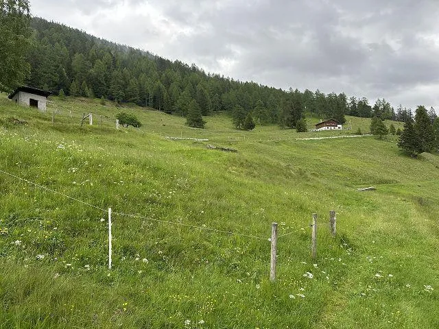 Image 20