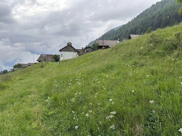 Image 22