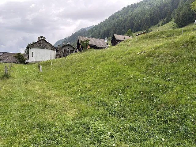 Image 23