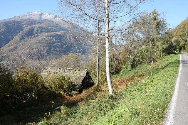 Image 12