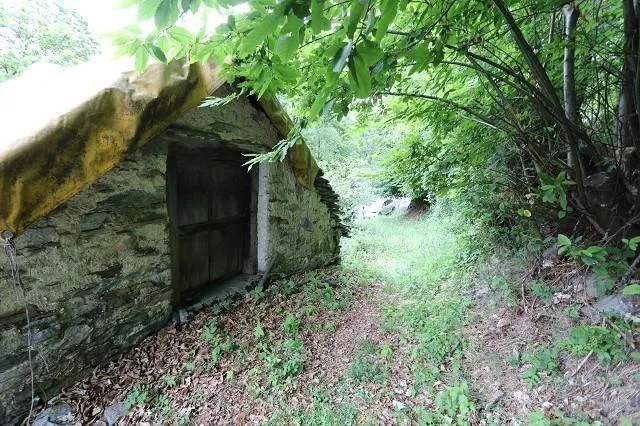 Image 13