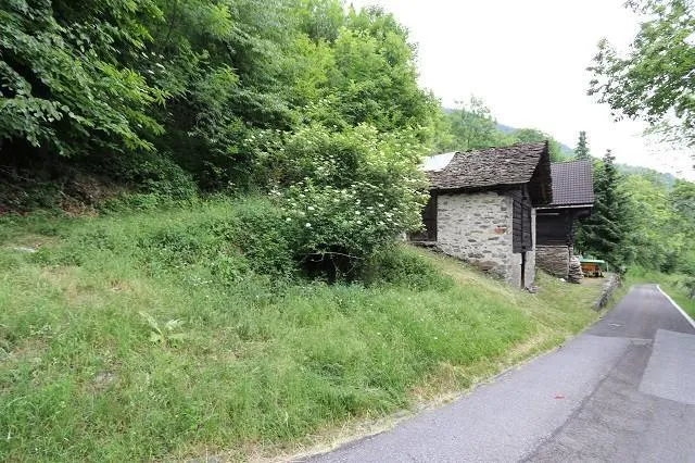Image 14