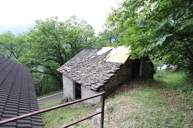 Image 12