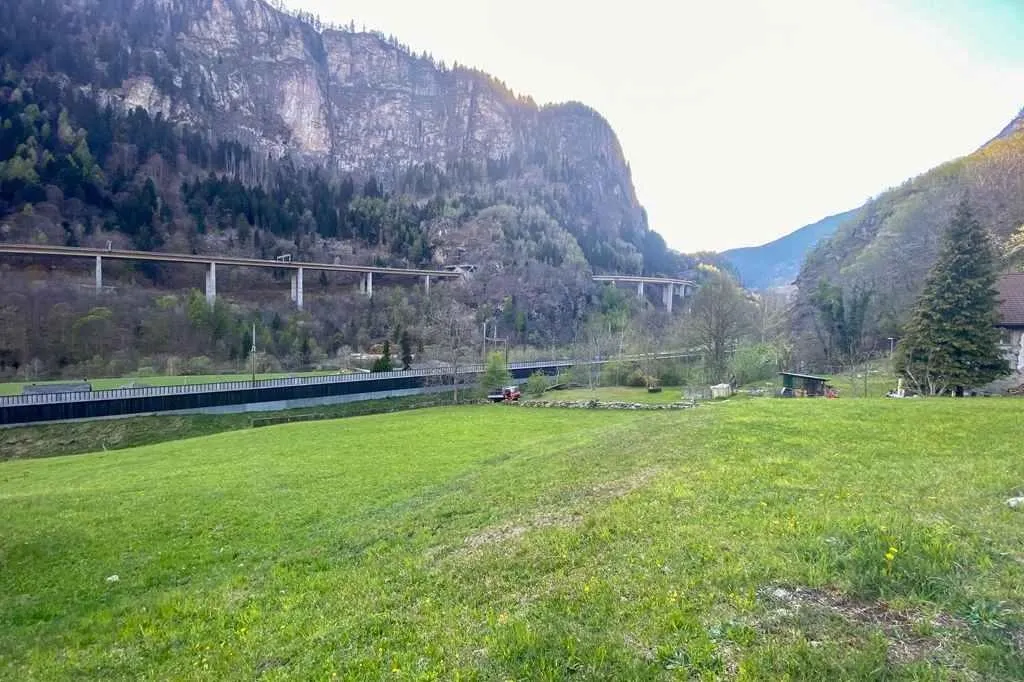 Image 6