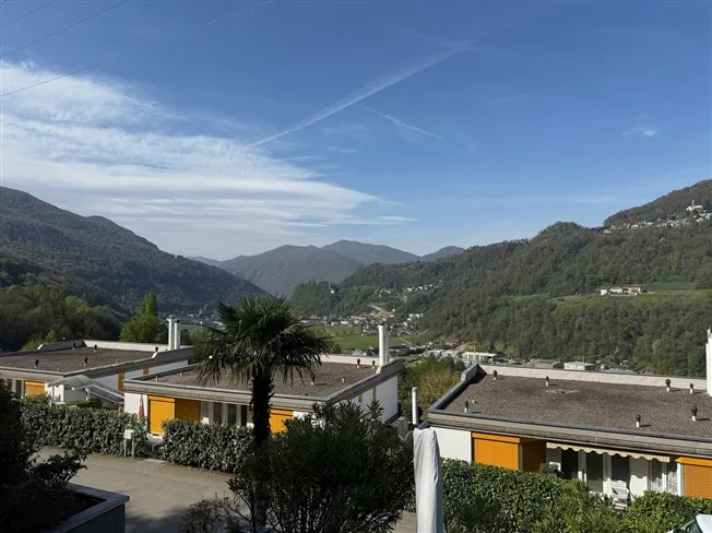 2,5 Zimmer mit GROSSER TERRASSE