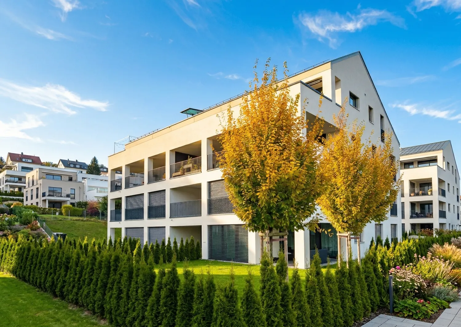 Helle 3.5 Zimmerwohnung in Menziken