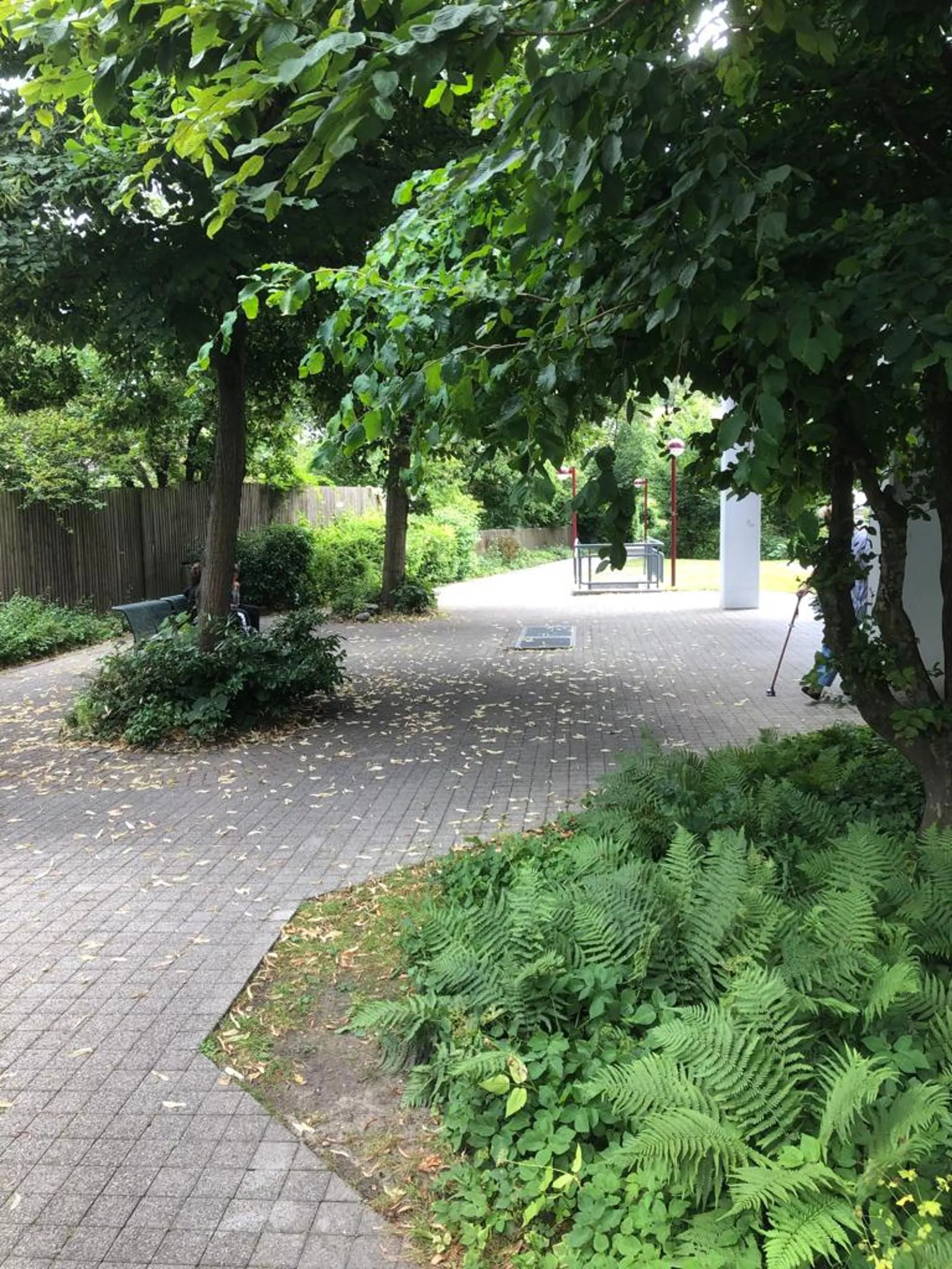 Bild 11