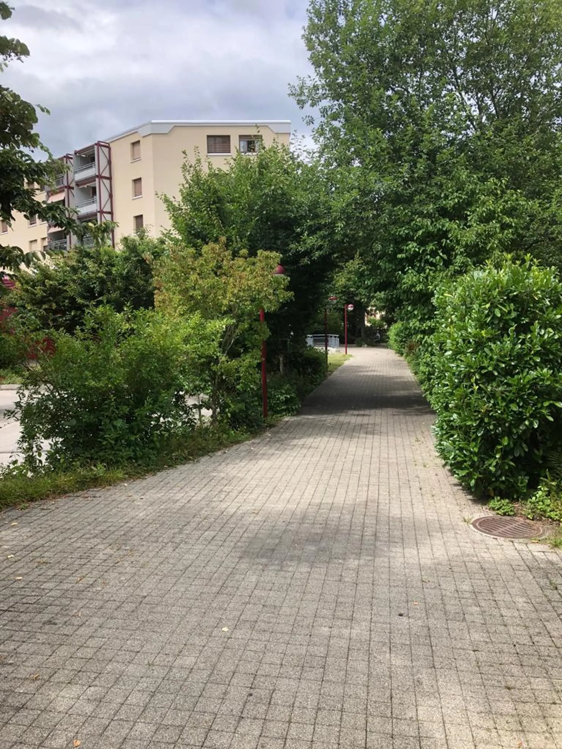 Bild 12