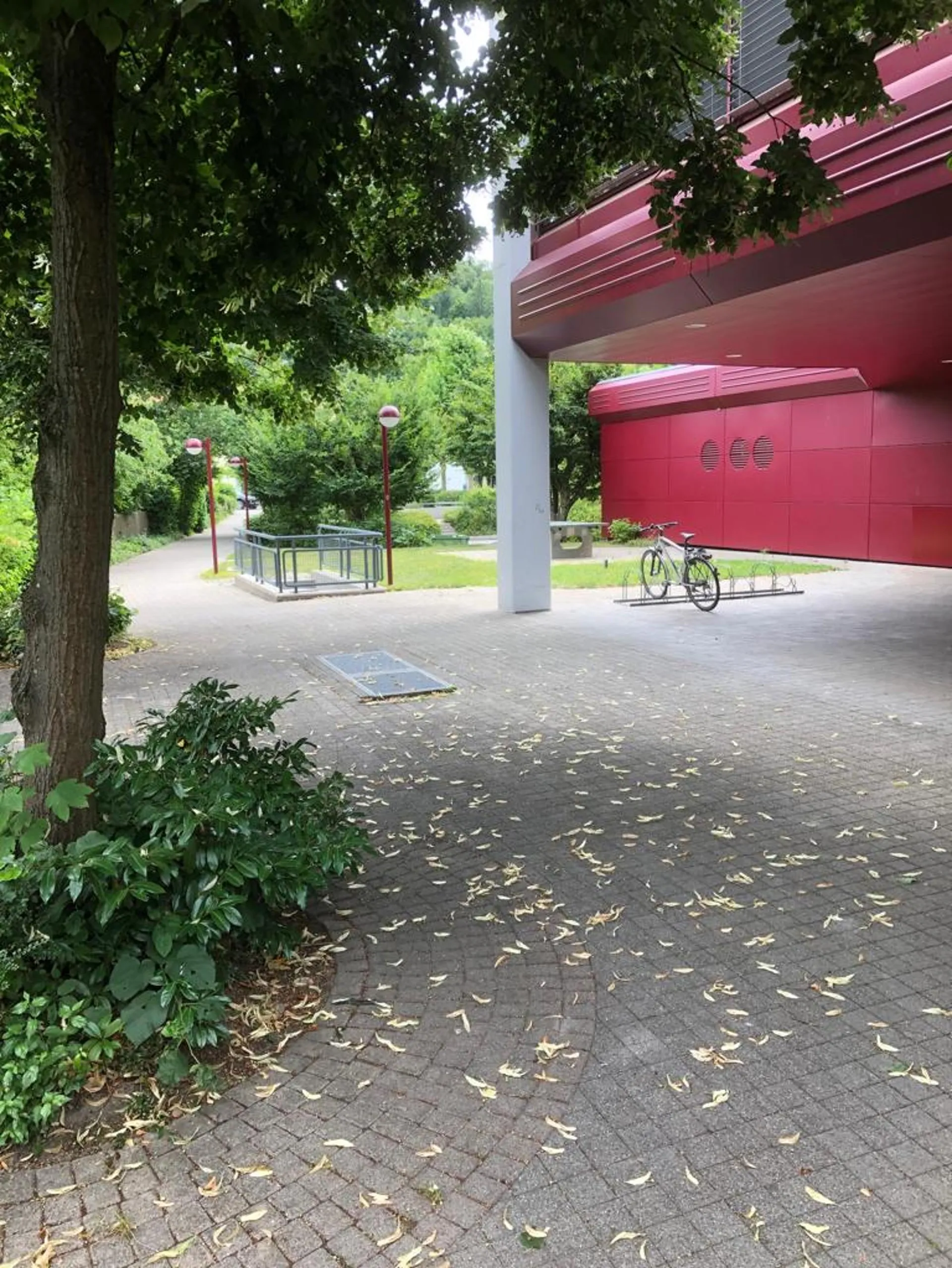 Bild 15