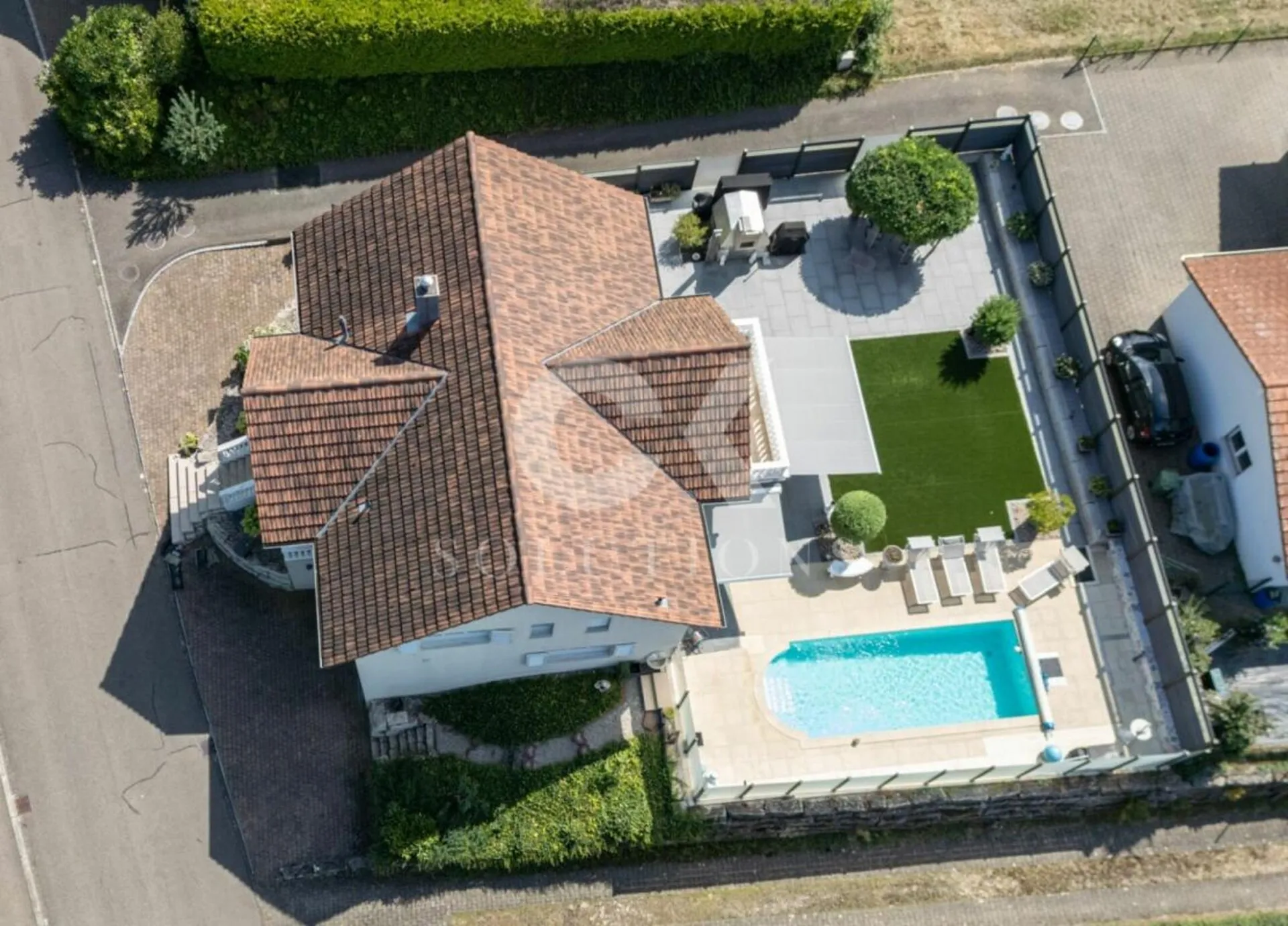 Immagine 5