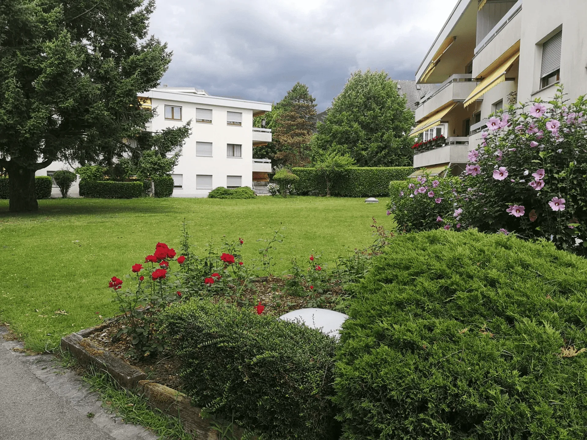 Image 9