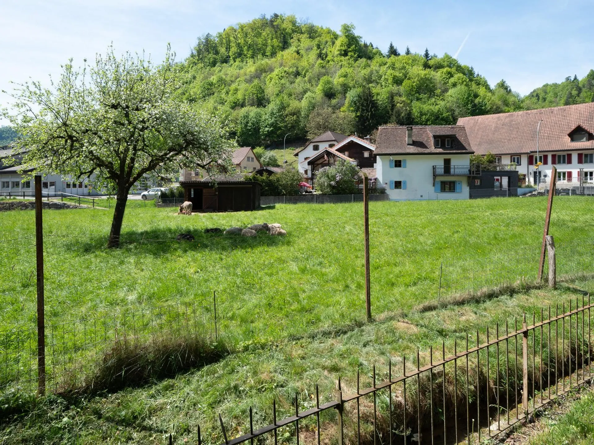 Image 5