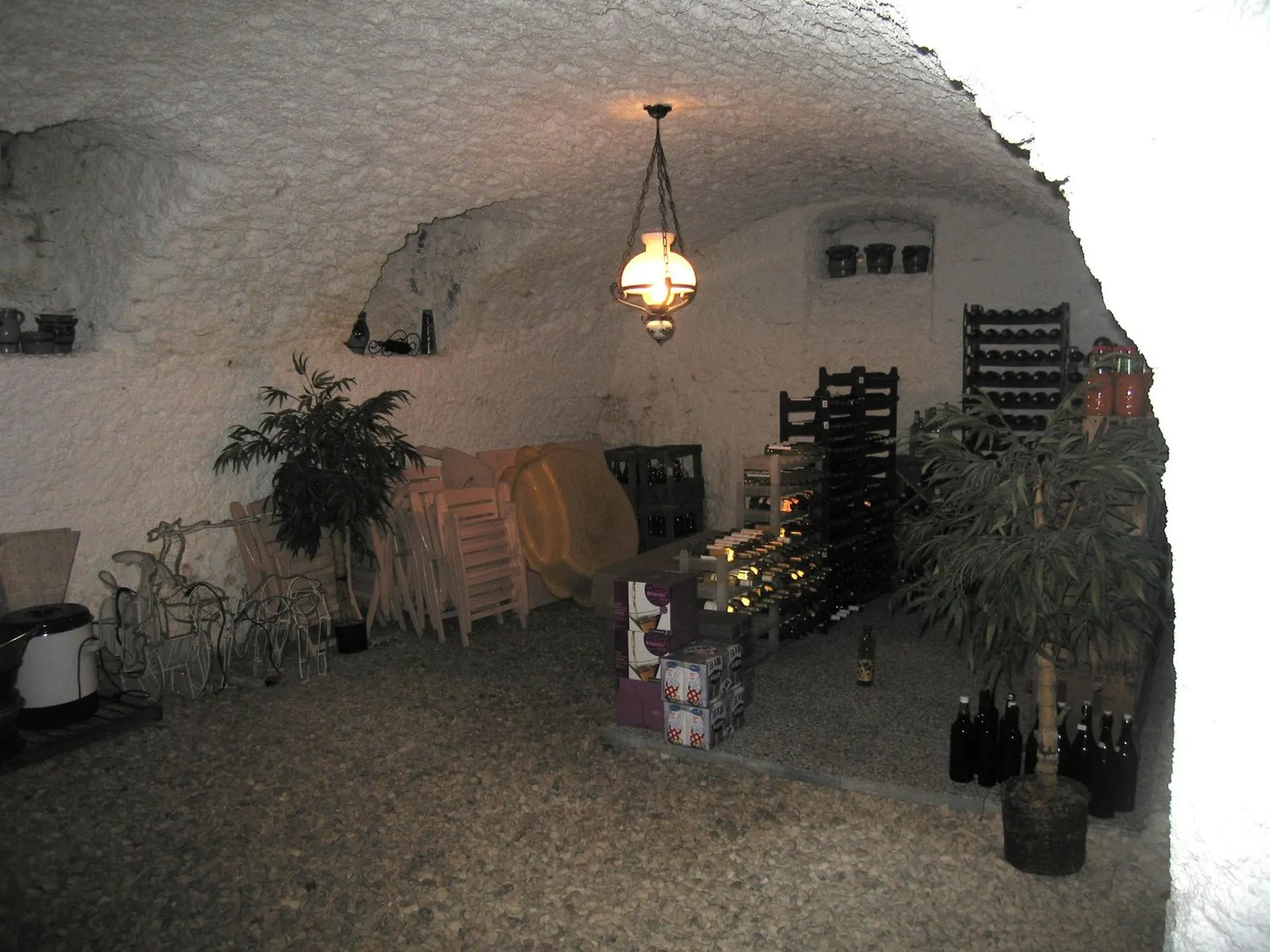 Bild 81