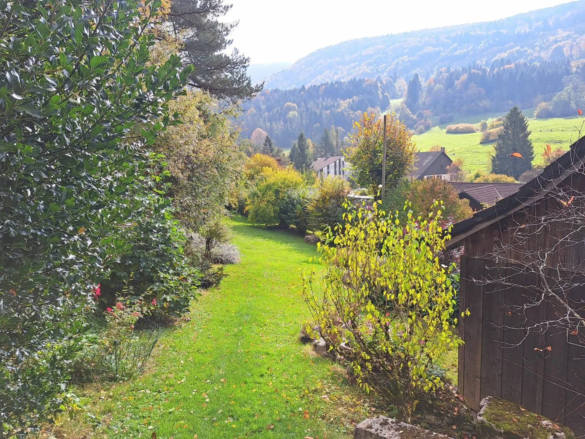 Bild 50