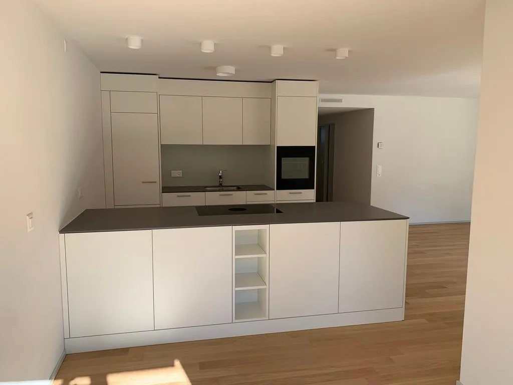 Helle und moderne 4.5-Zimmerwohnung zu vermieten