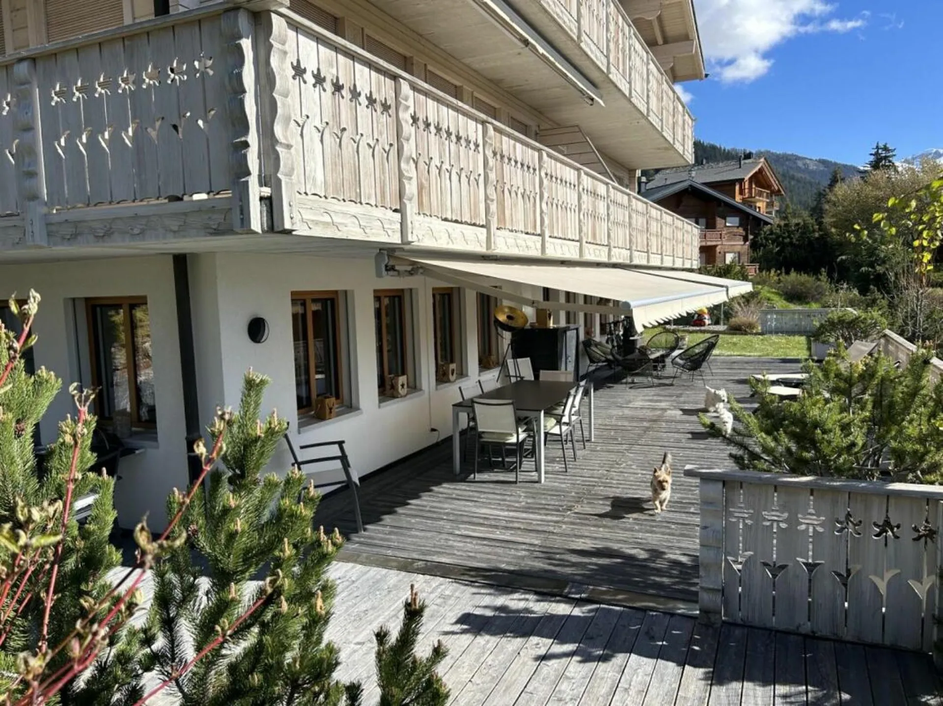 Image 22