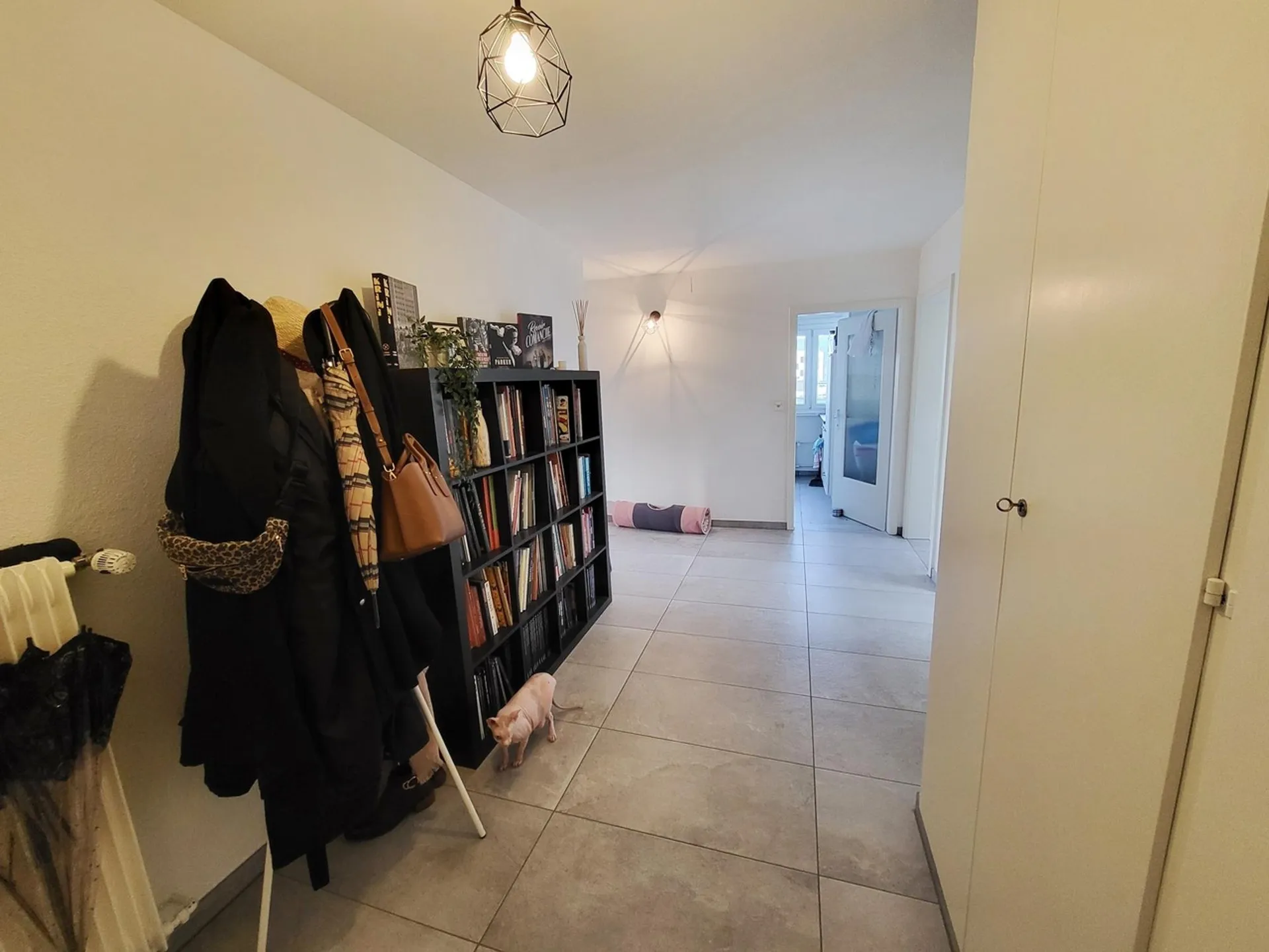 Bild 8
