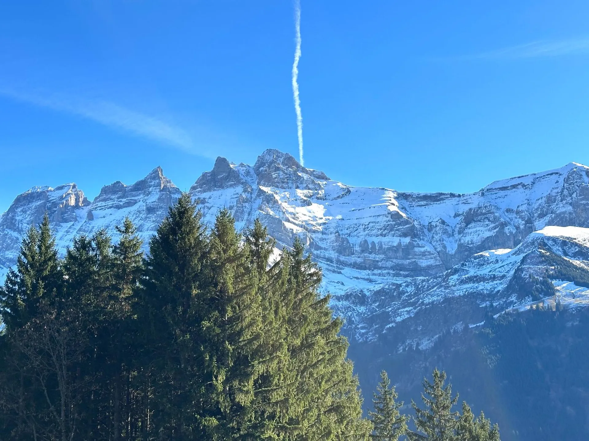 Bild 12