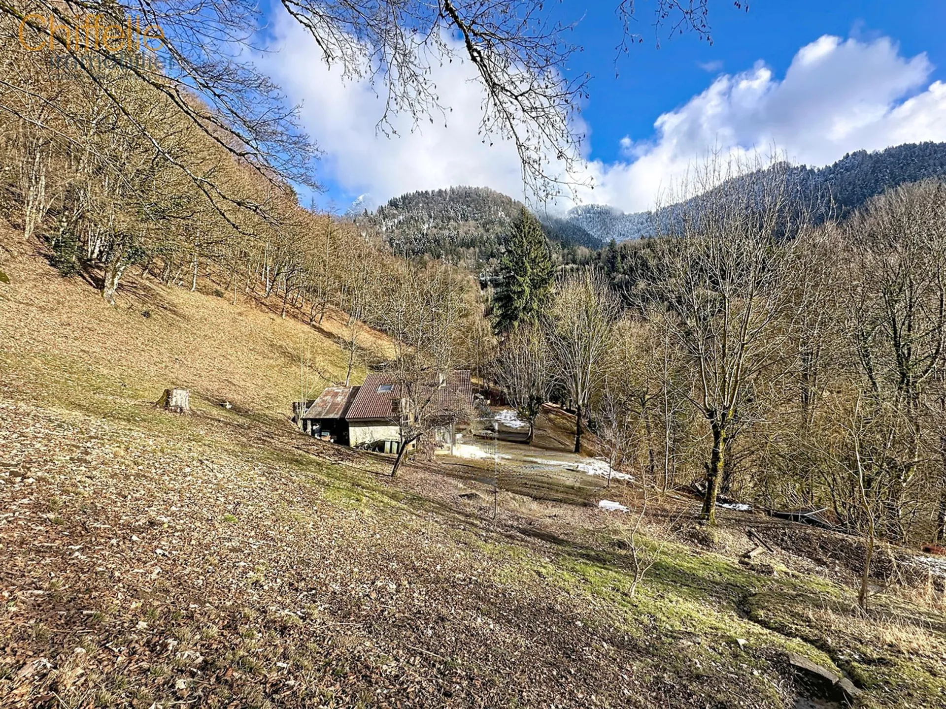 Image 10