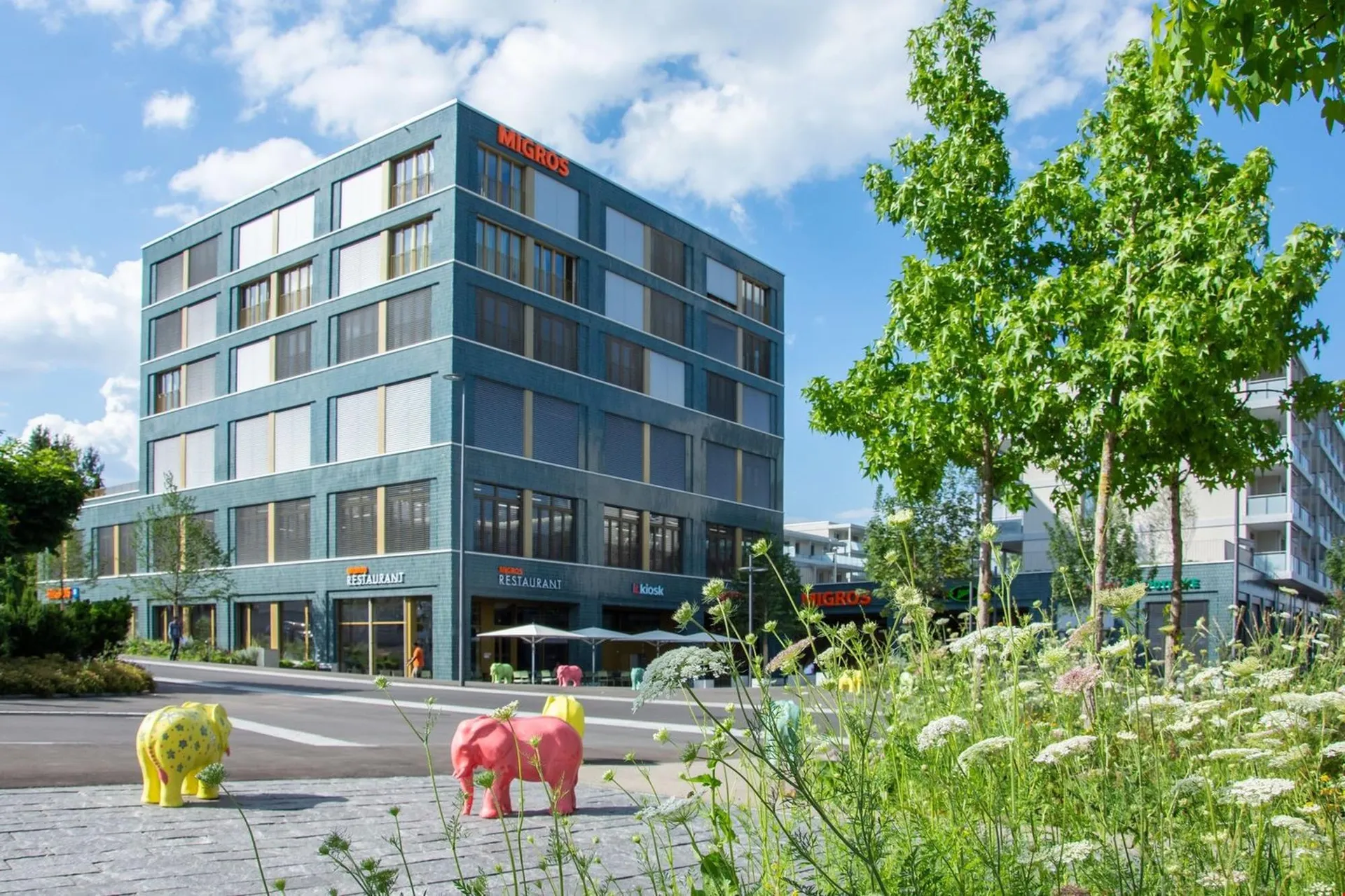 Bild 12