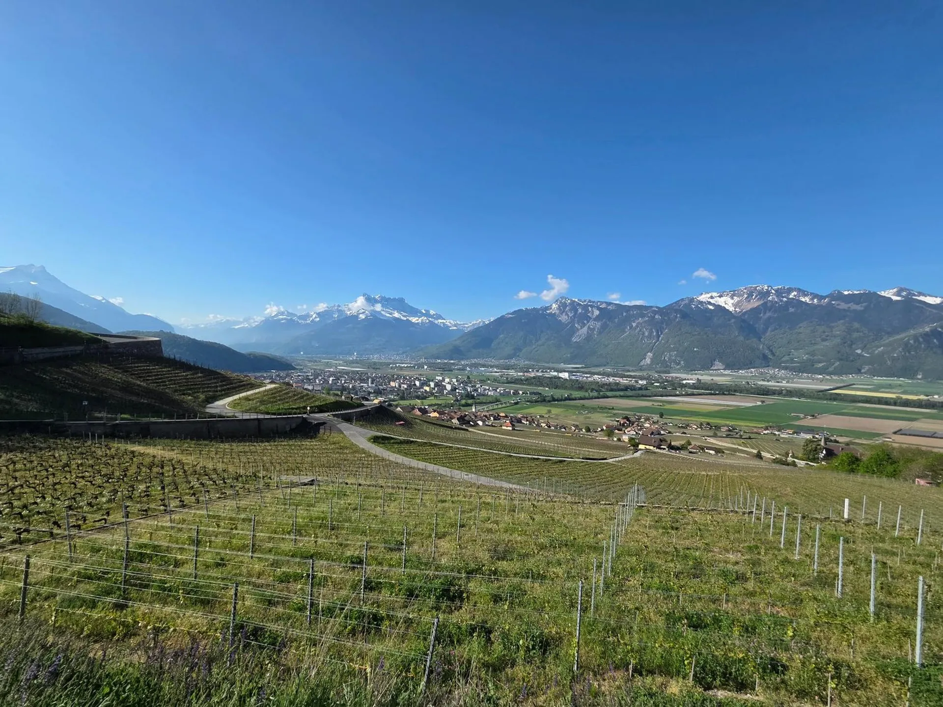 2 Maisons individuelles avec vue panoramique à Yvorne