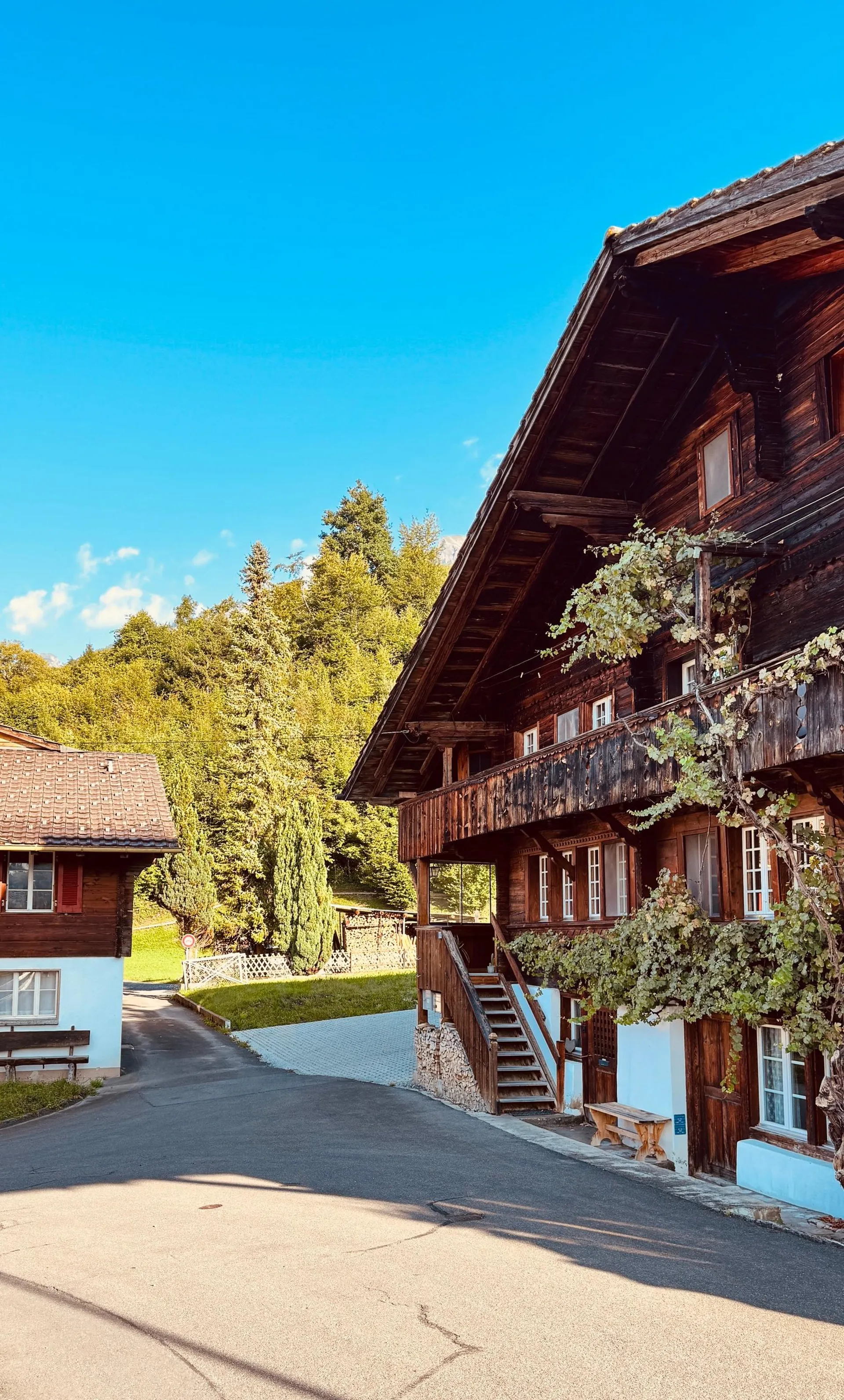 Ankommen, wohlfühlen – Haushälfte mit Baulandreserve in Hofstetten bei Brienz