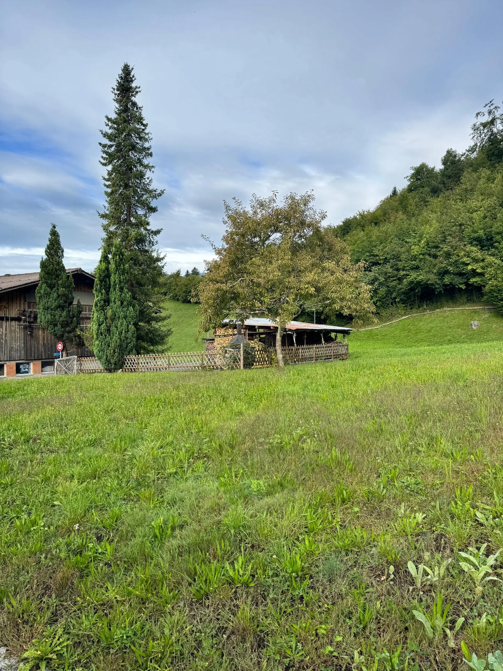 Image 20