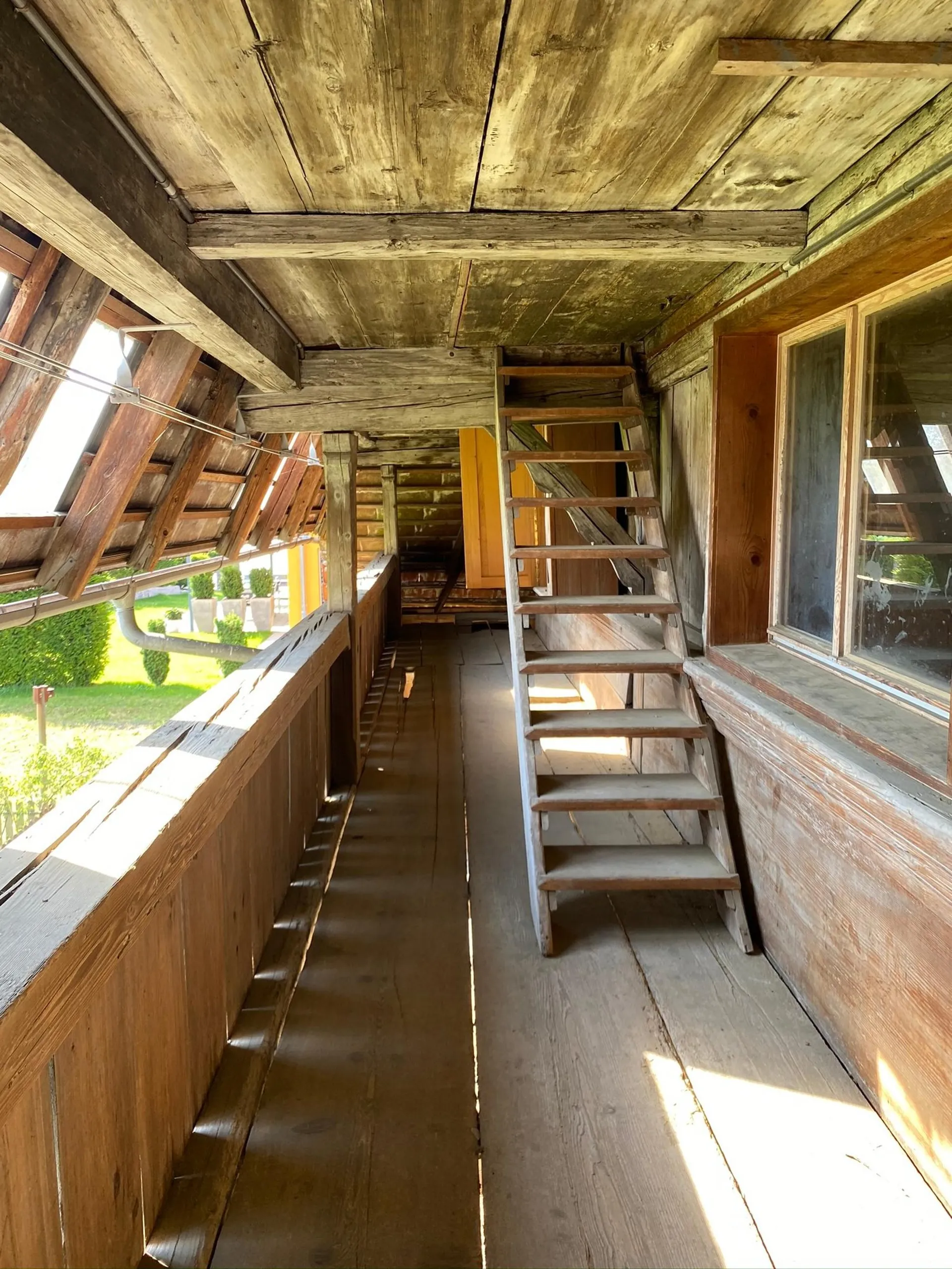 Image 12