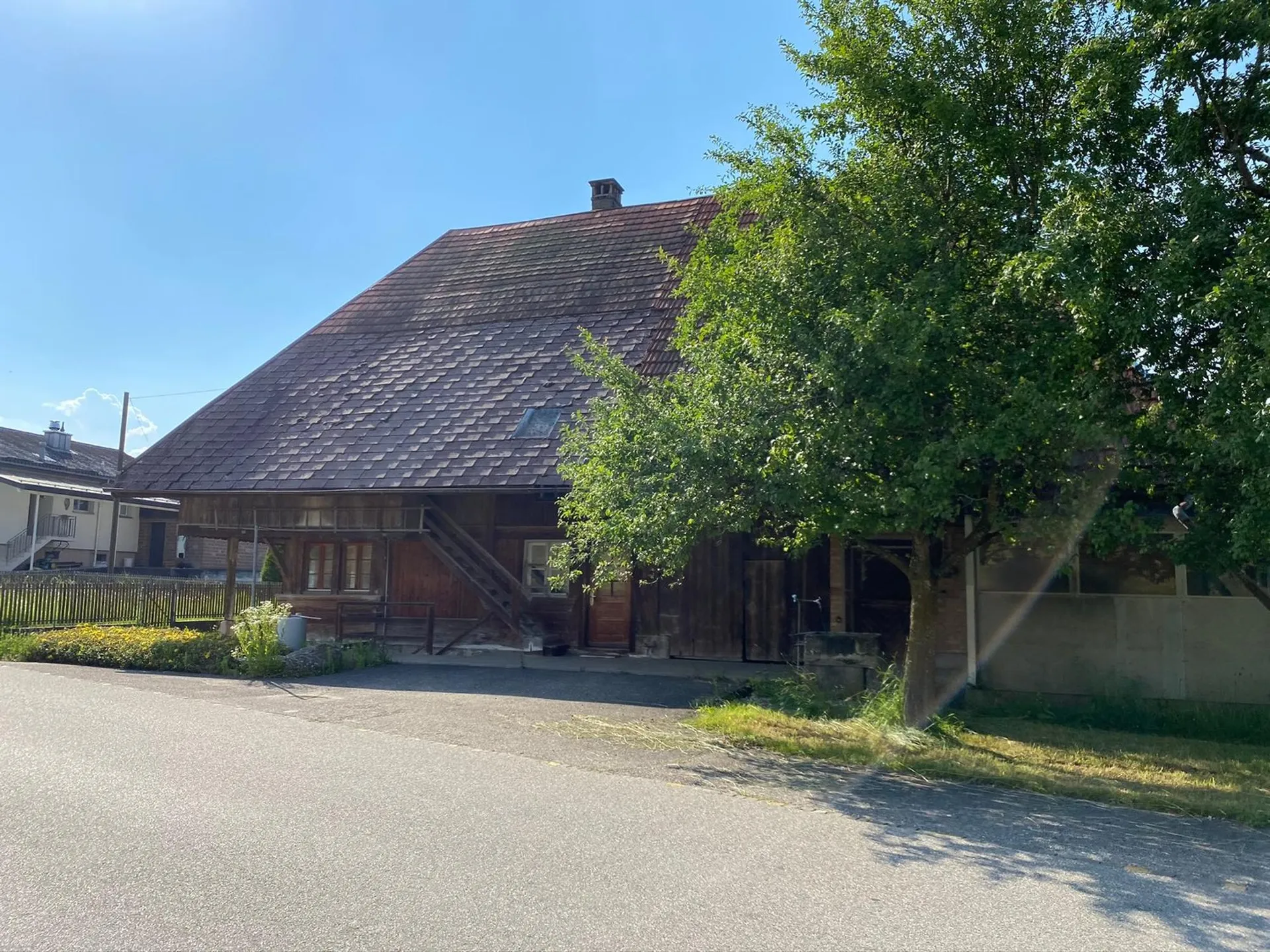 Image 5