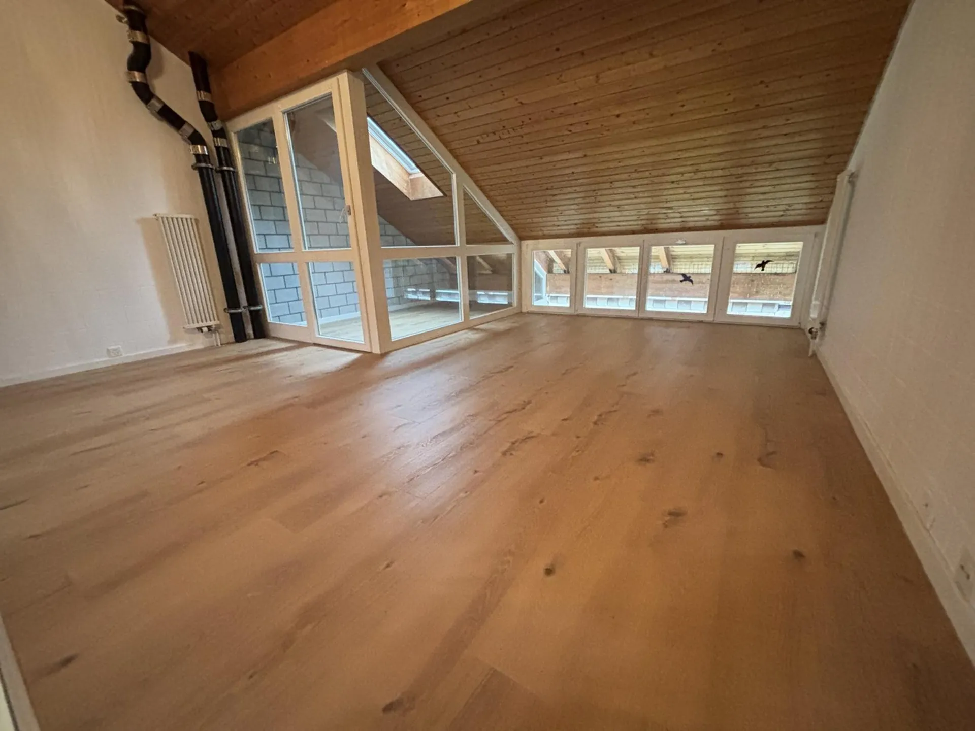 Bild 22