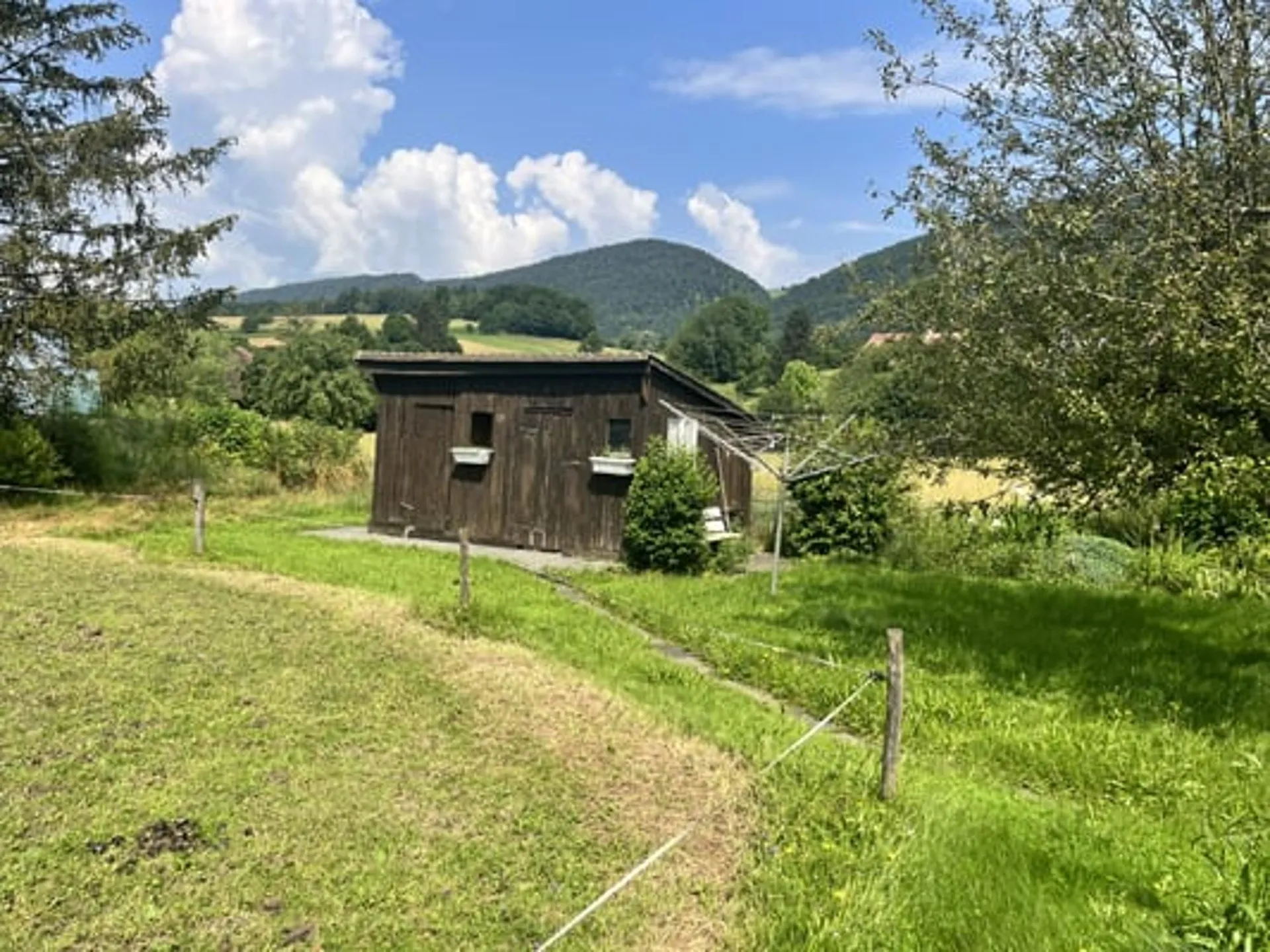 Bild 8