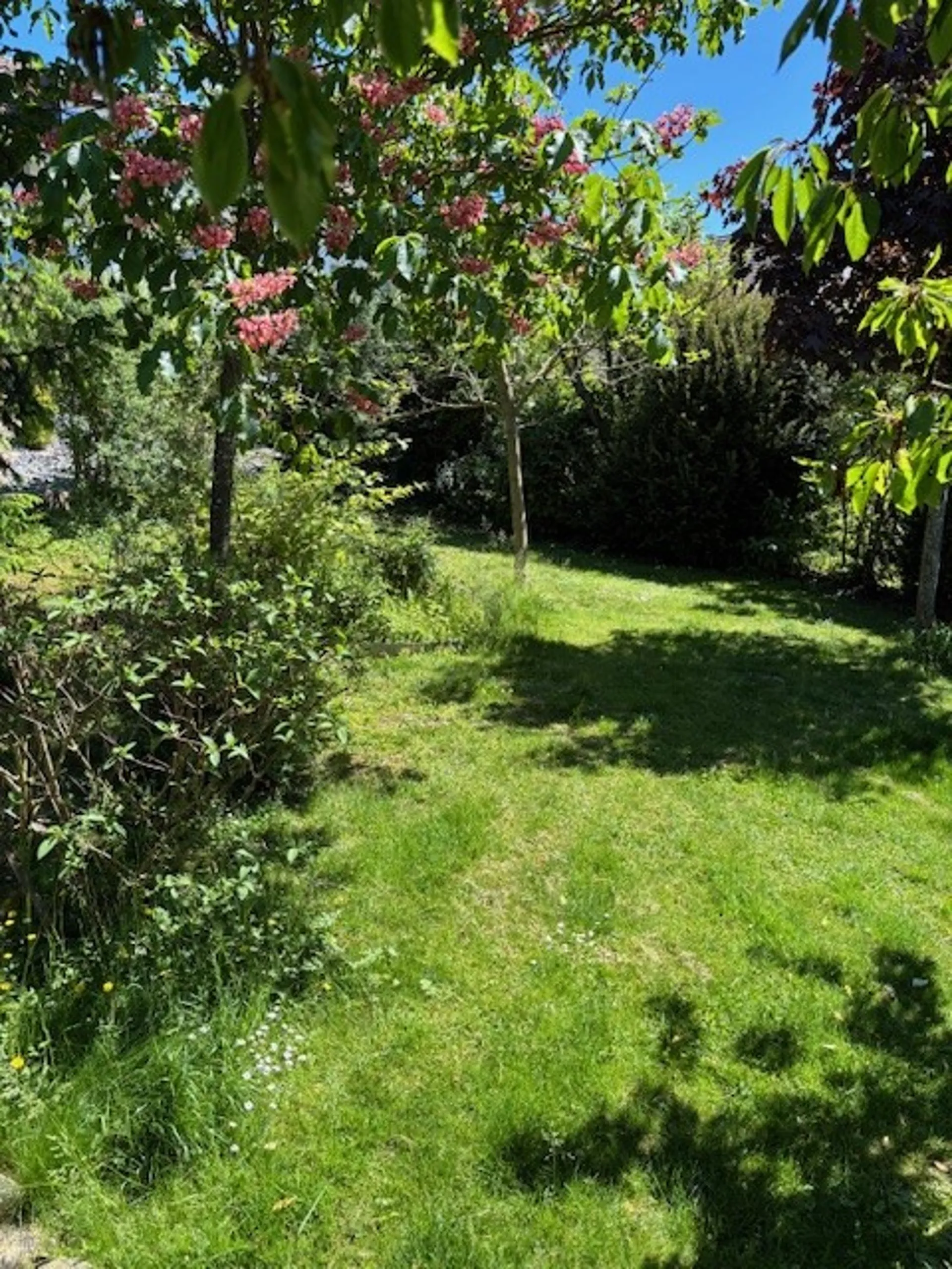 Image 25