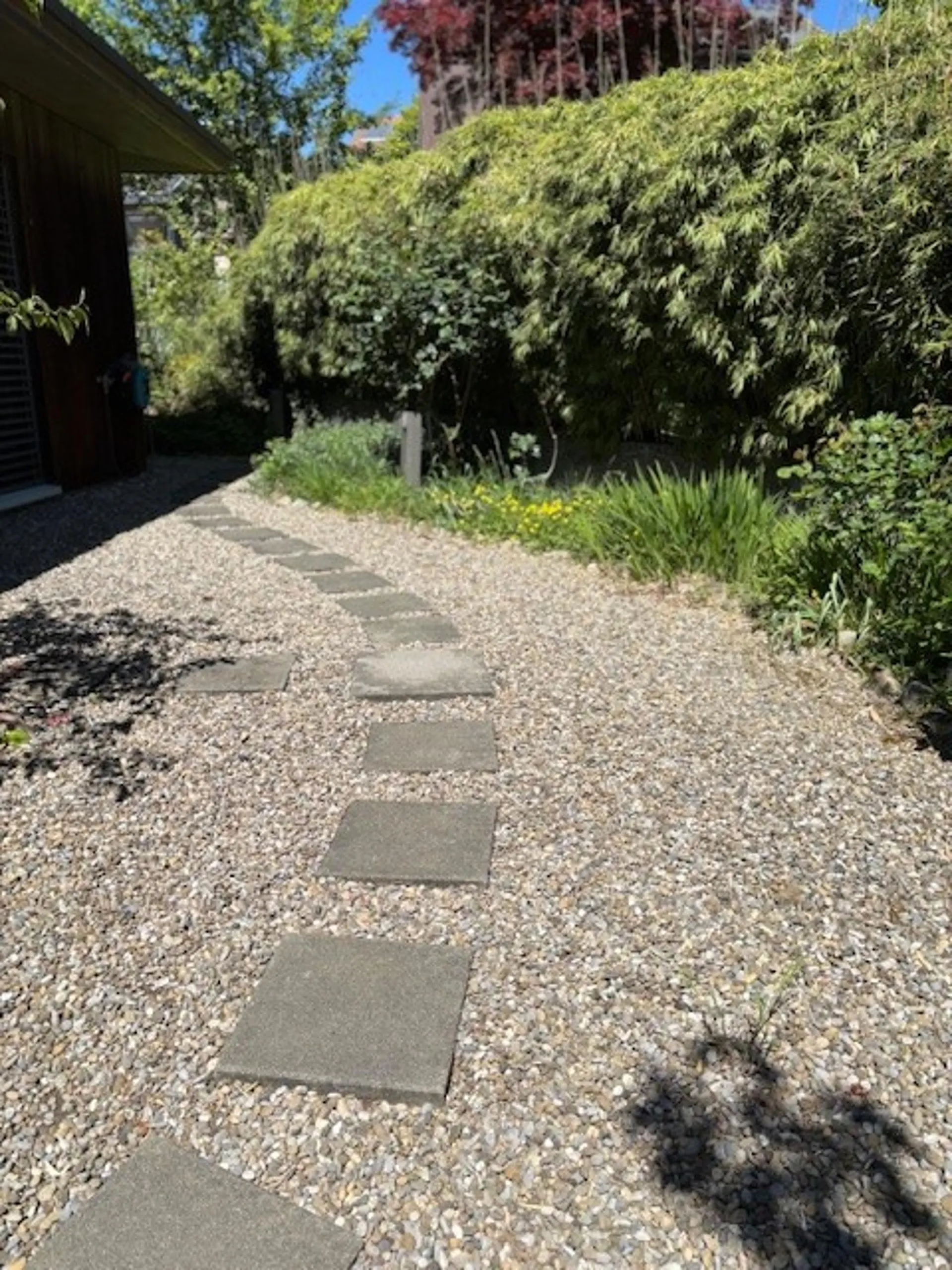 Image 27