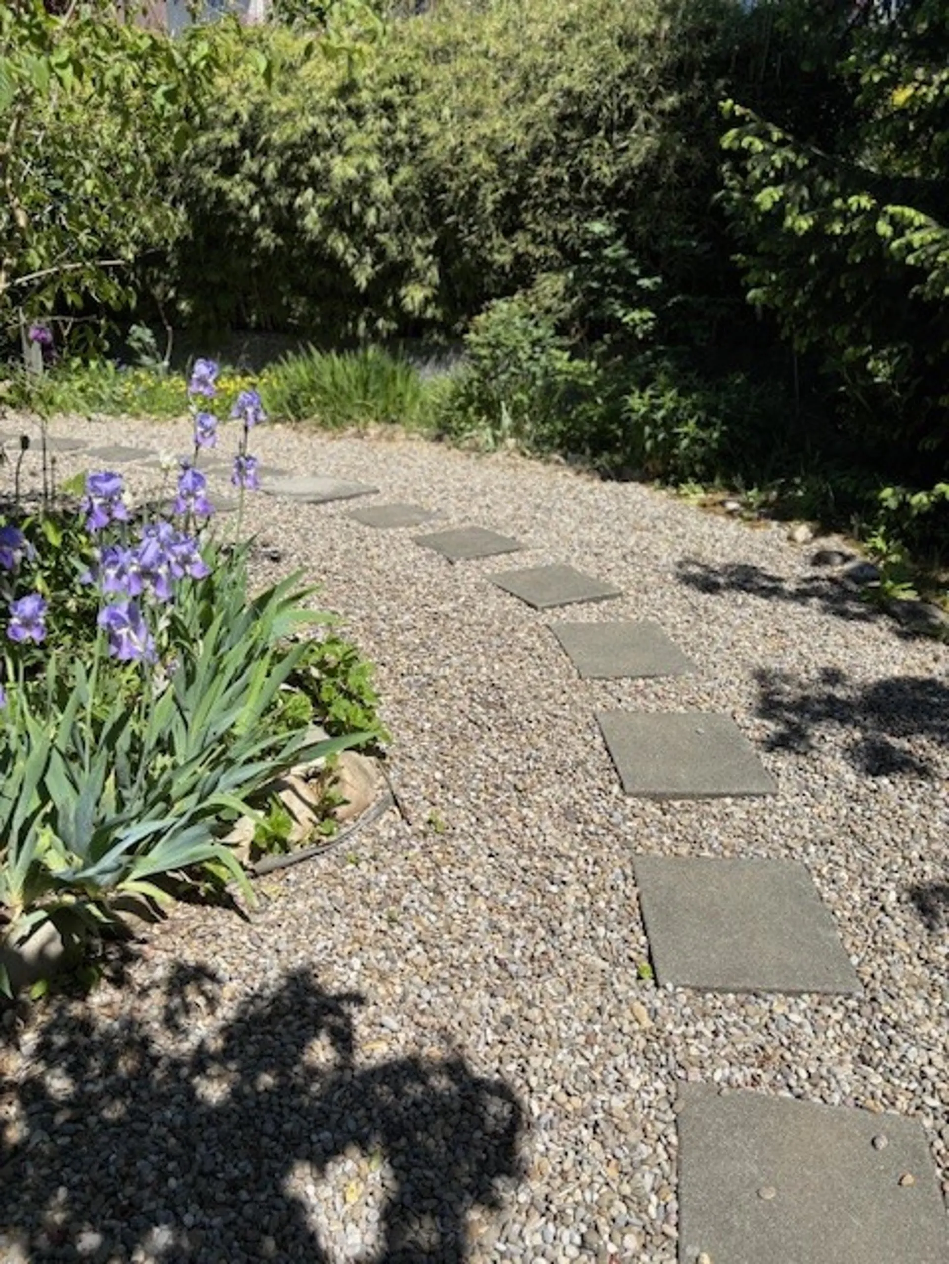 Image 26