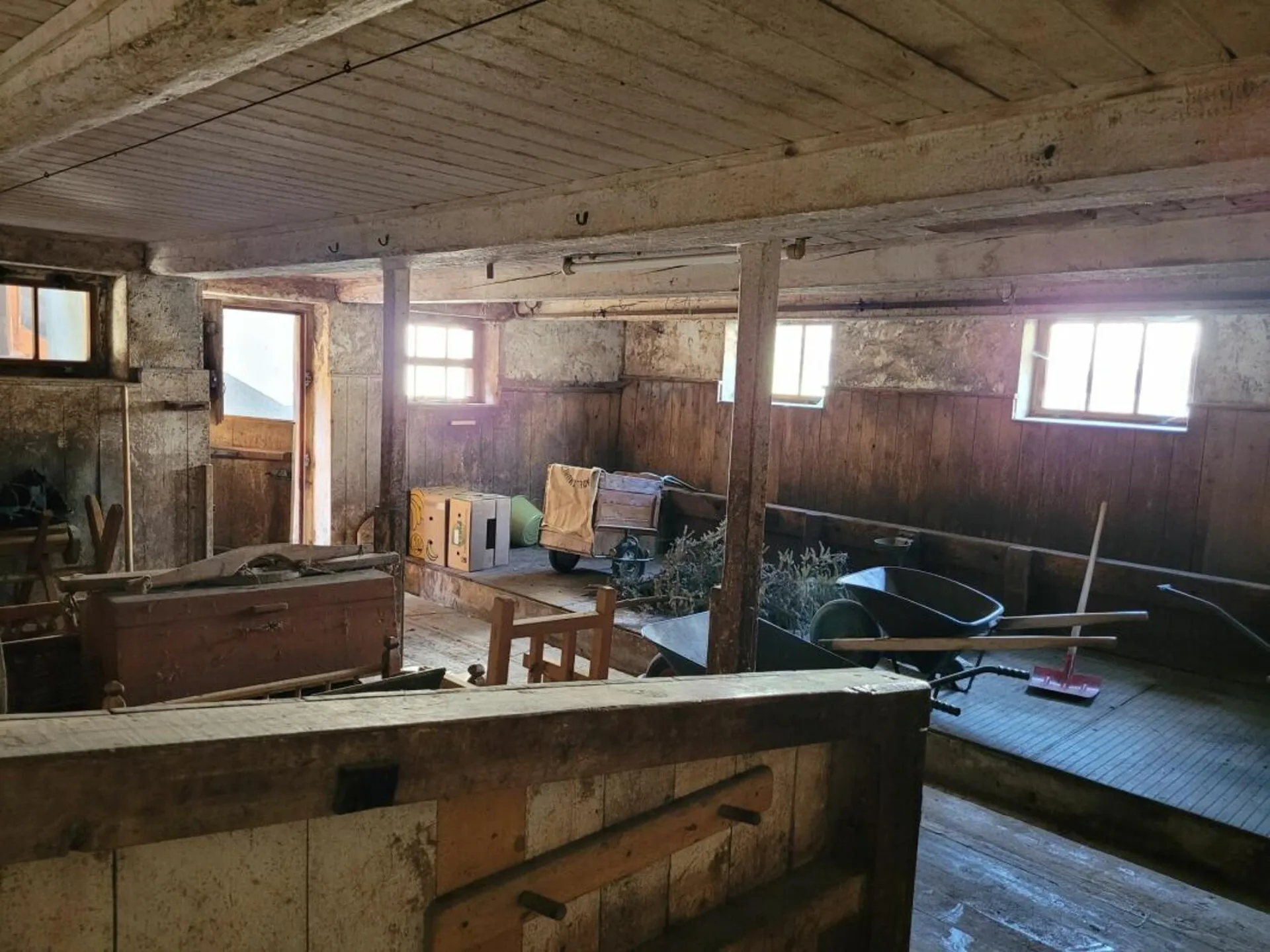 Image 13