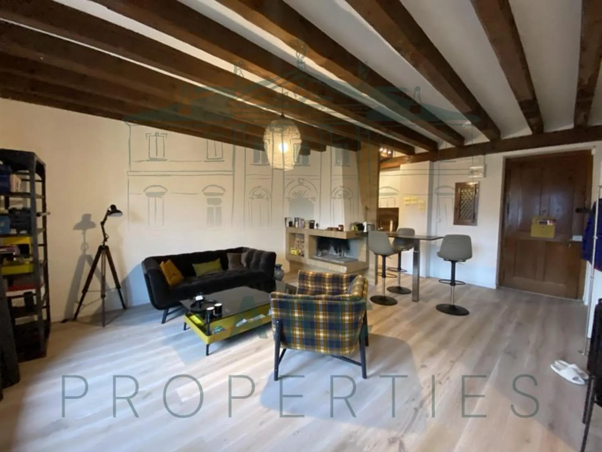 EAUX-VIVES - APPARTEMENT ENTIÈREMENT RÉNOVER