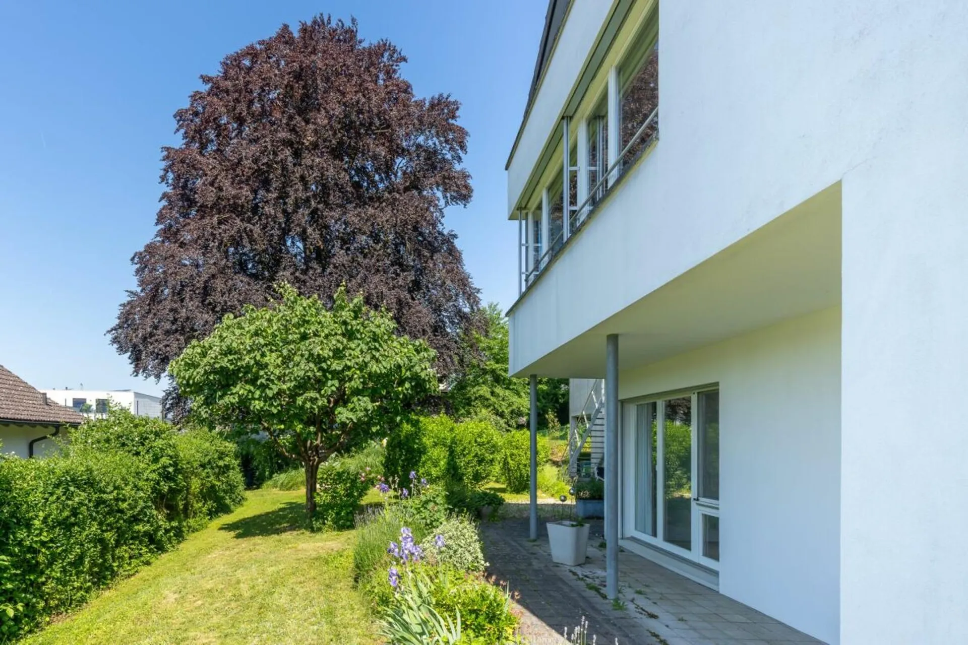Immagine 16