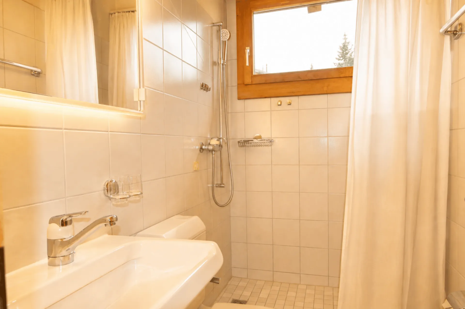 Immagine 15