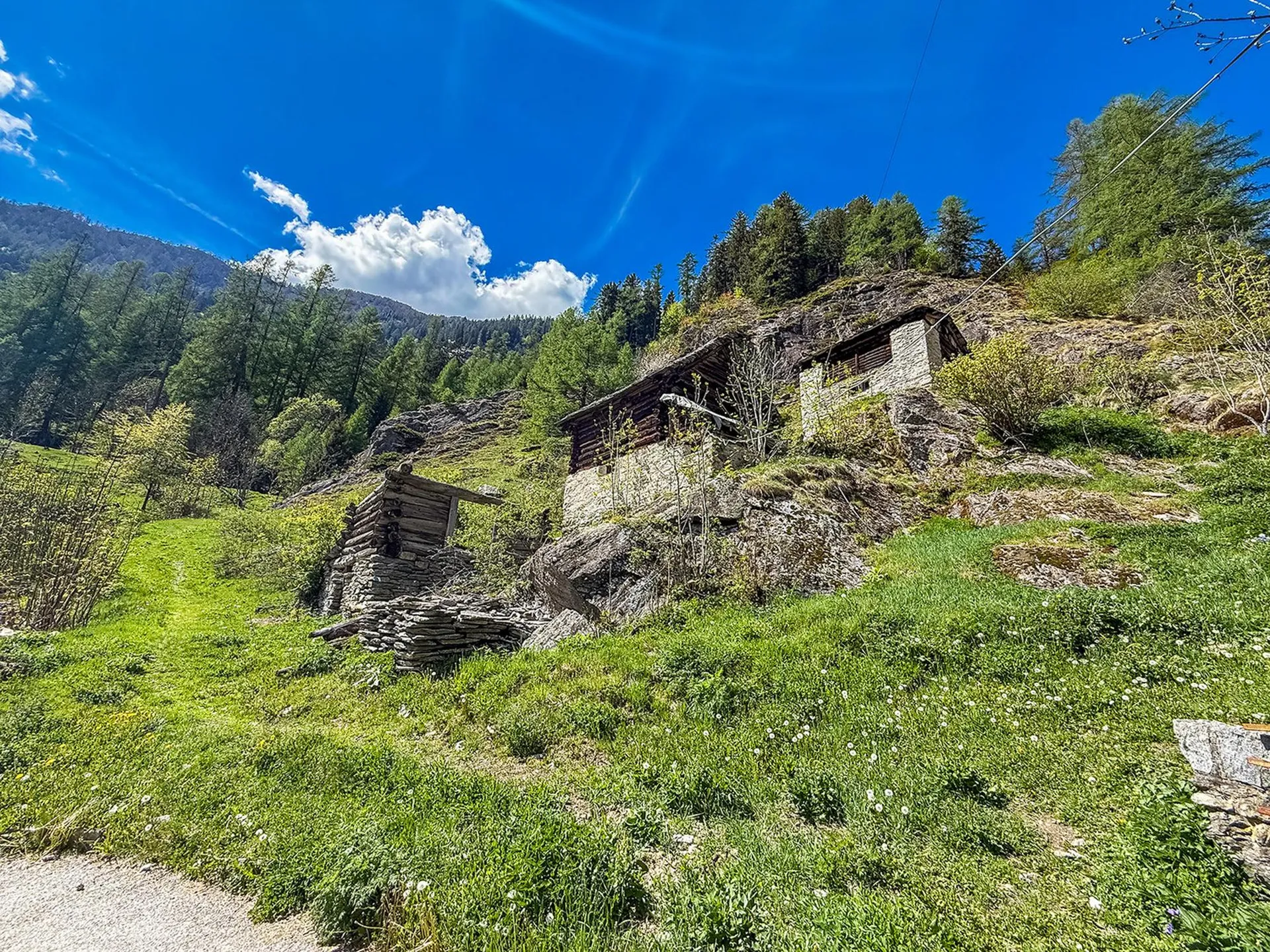 Bild 3