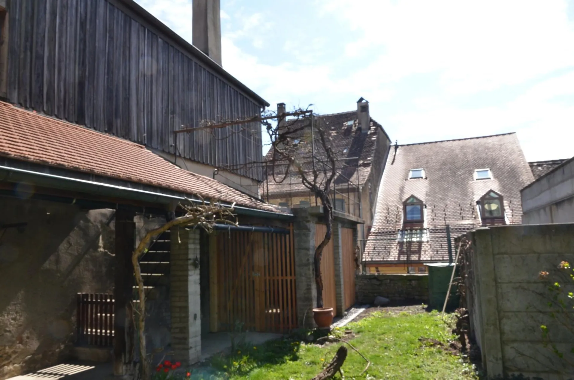 Image 12